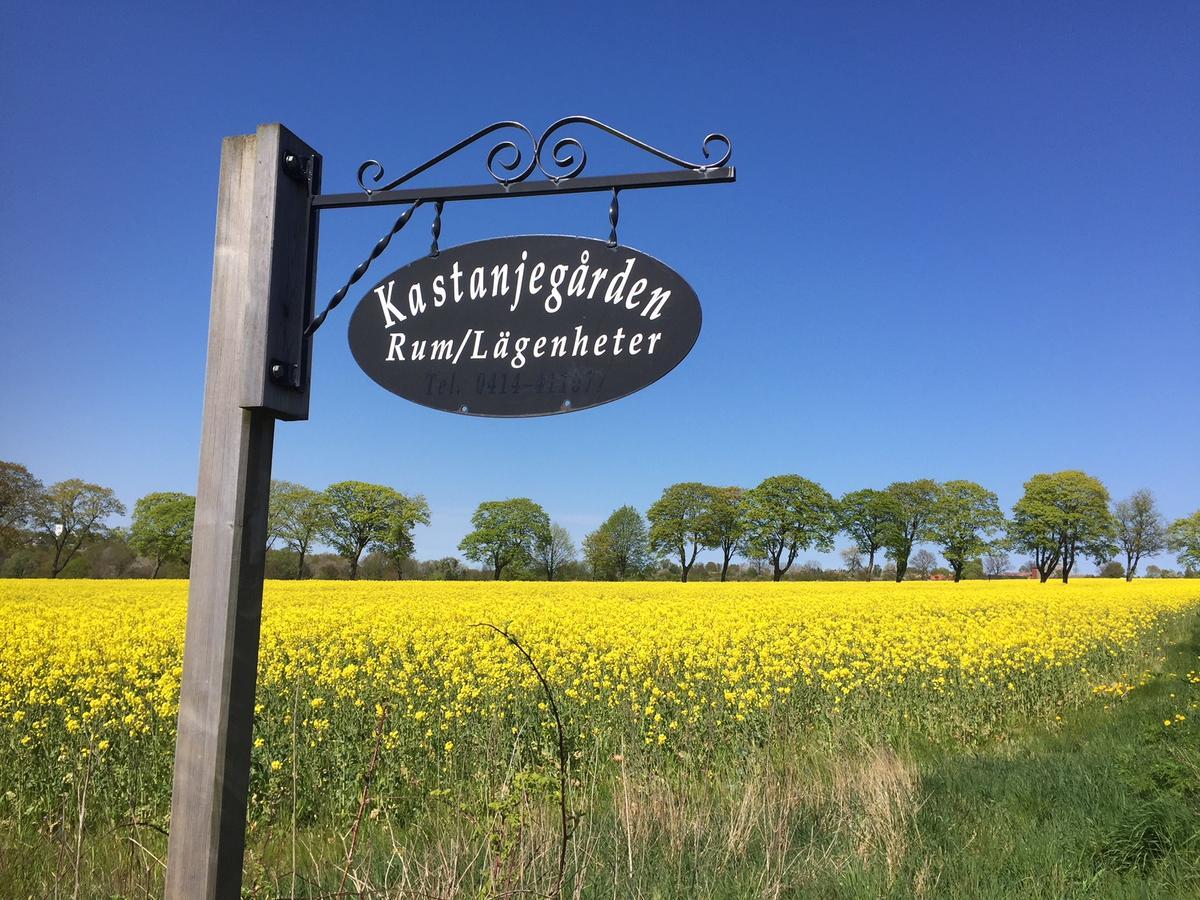 Kastanjegarden Pa Stenshuvud Kivik Exterior foto