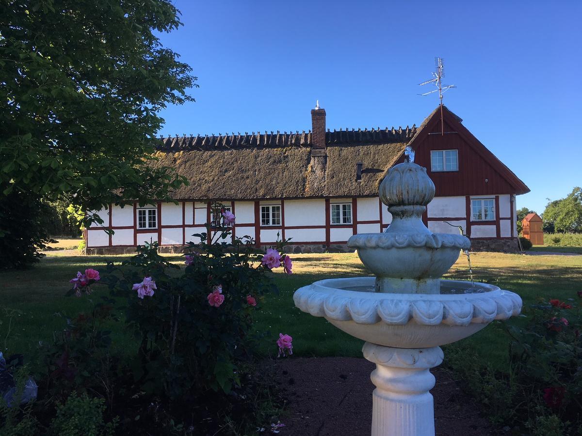 Kastanjegarden Pa Stenshuvud Kivik Exterior foto